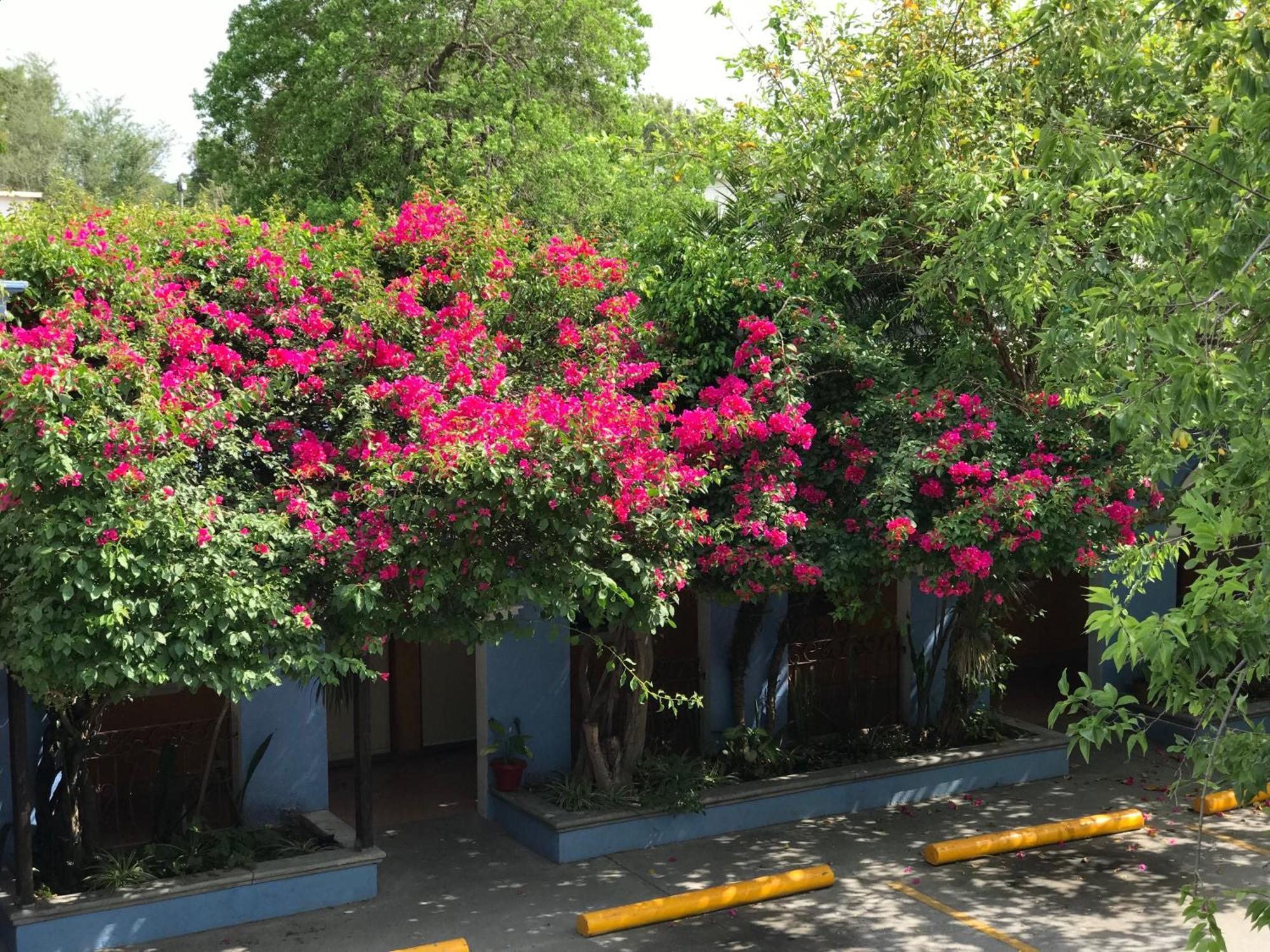 Hotel Hacienda del Viejo Matamoros  Exterior foto