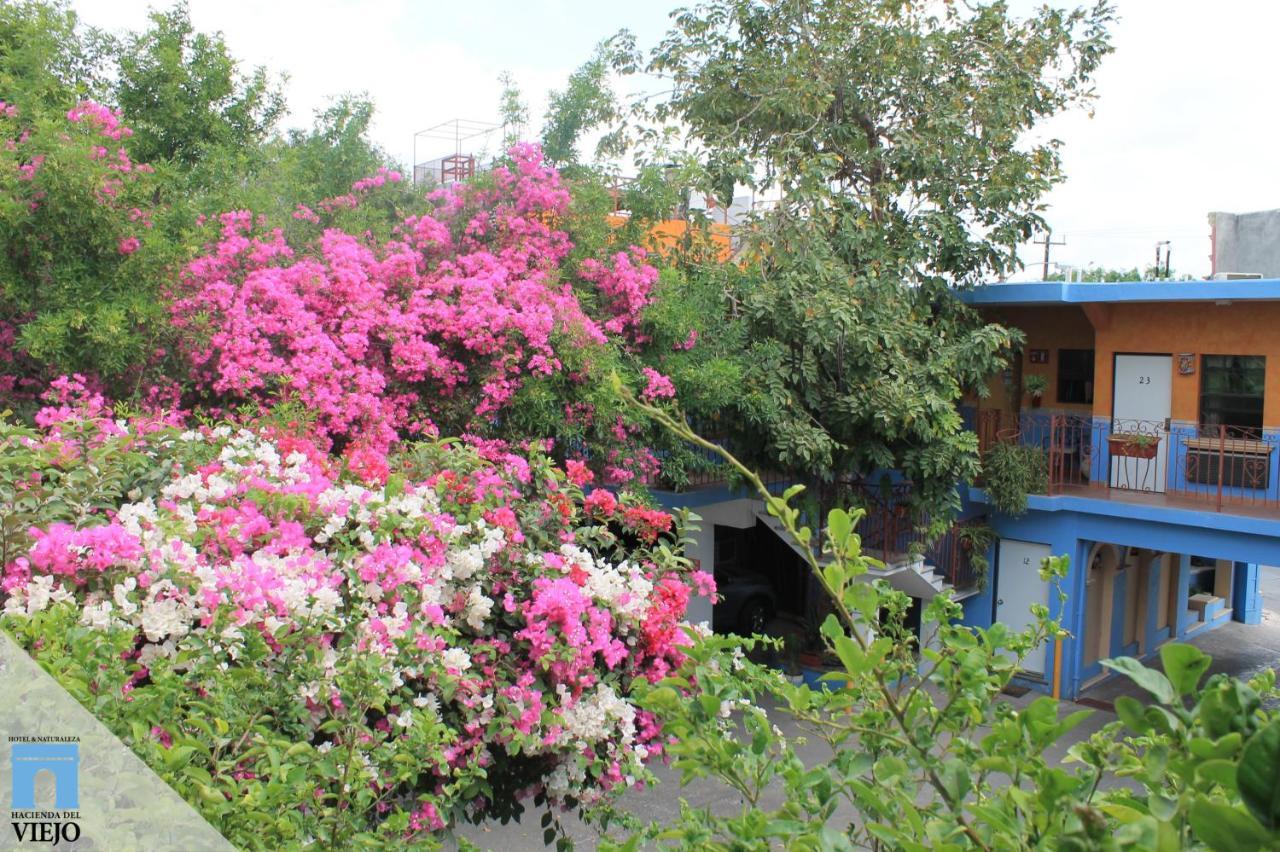 Hotel Hacienda del Viejo Matamoros  Exterior foto